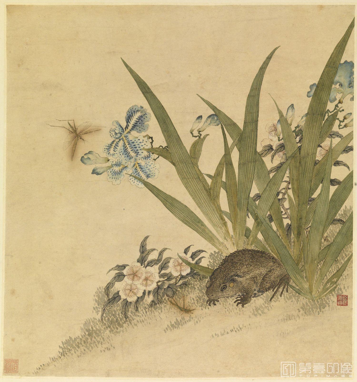 国画-蟾蜍蚱蜢图页-33.0x31.0cm