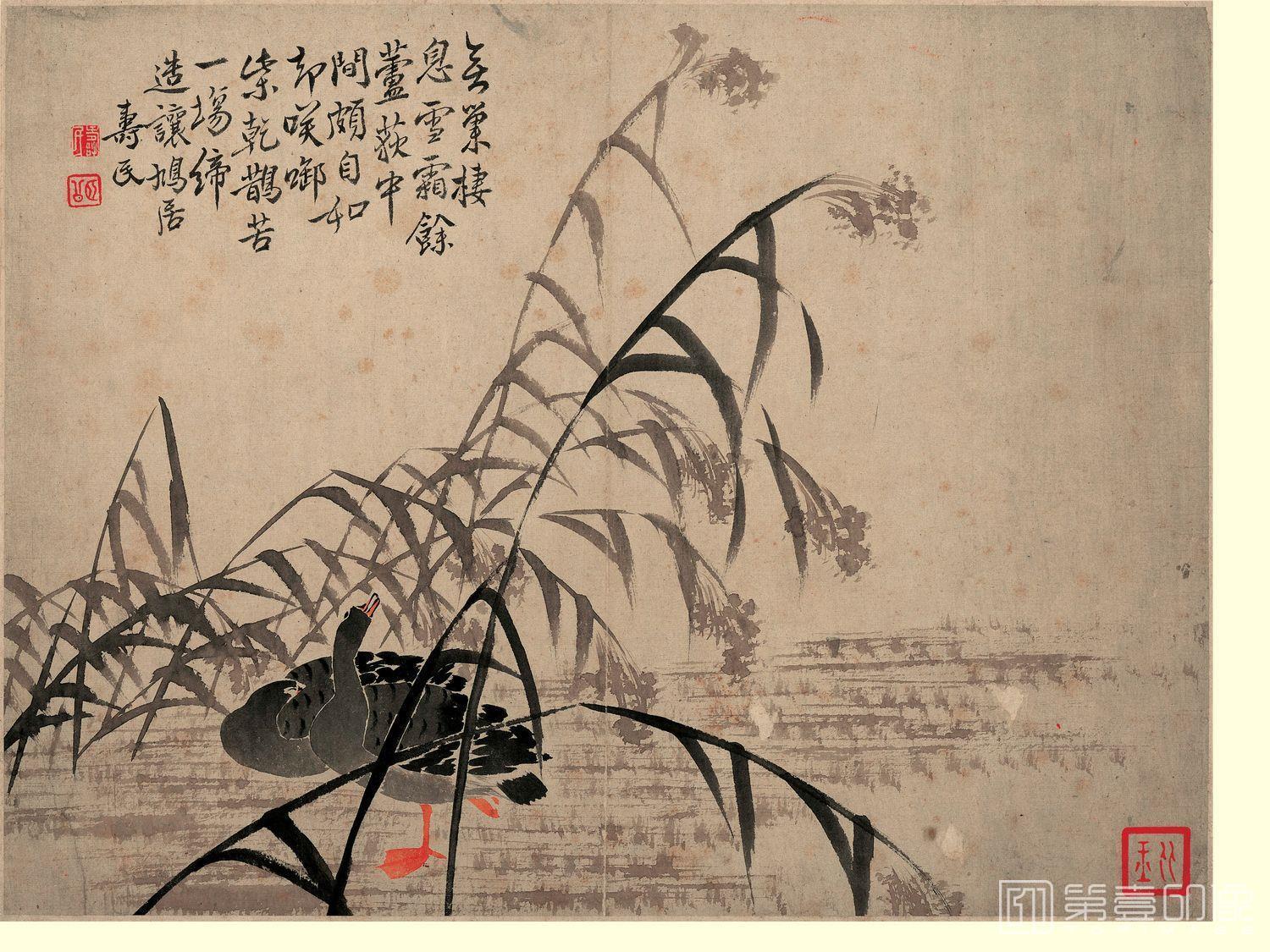 国画-芦雁图10