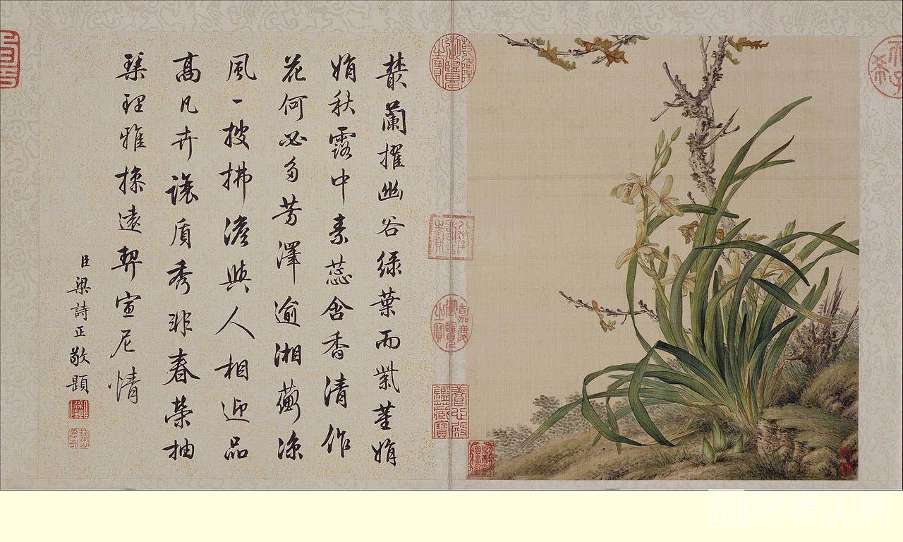 国画-花鸟册页6