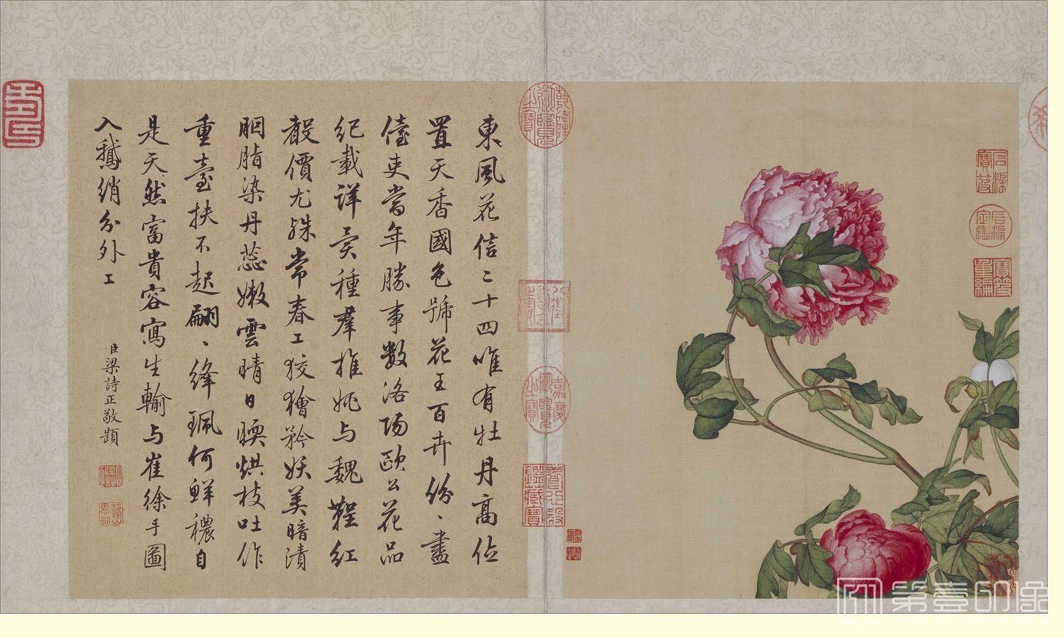 国画-花鸟册页8