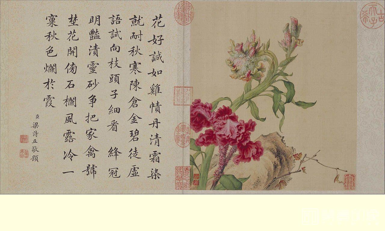 国画-花鸟册页9