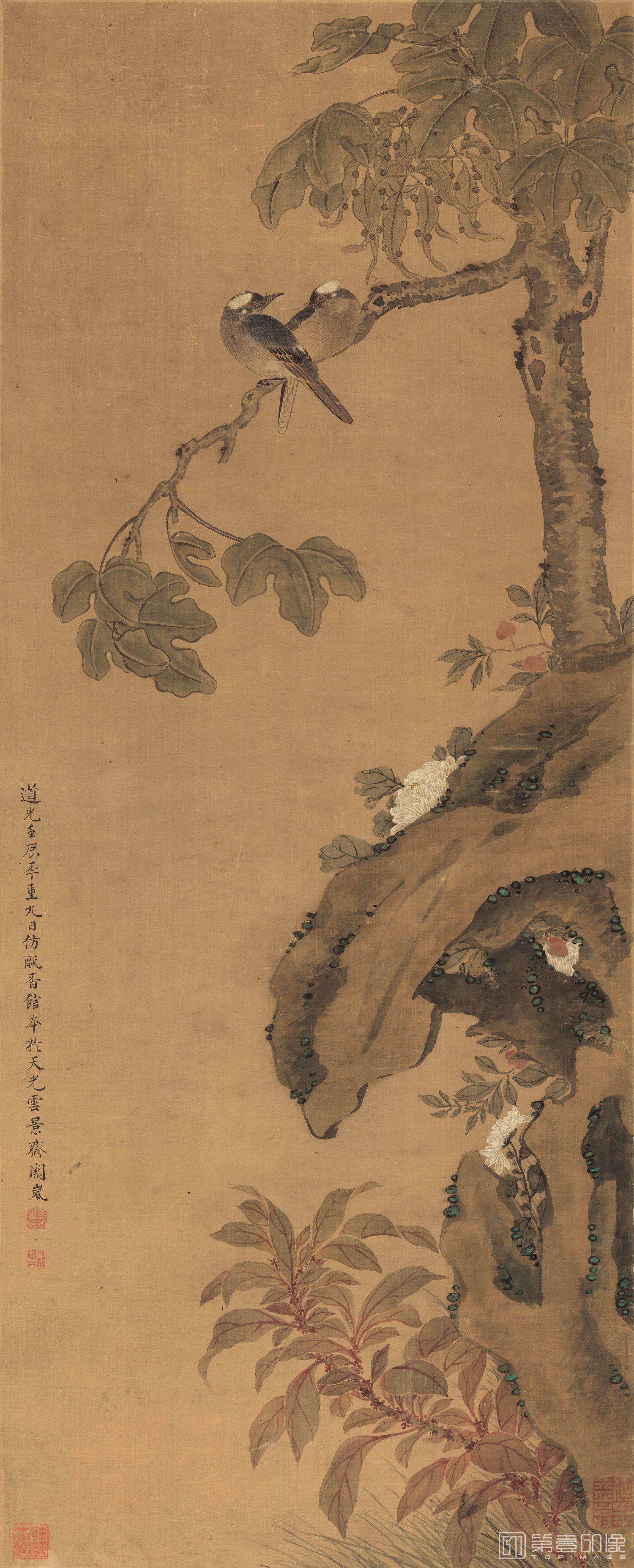 国画-梧桐白头图-40.7x100.6