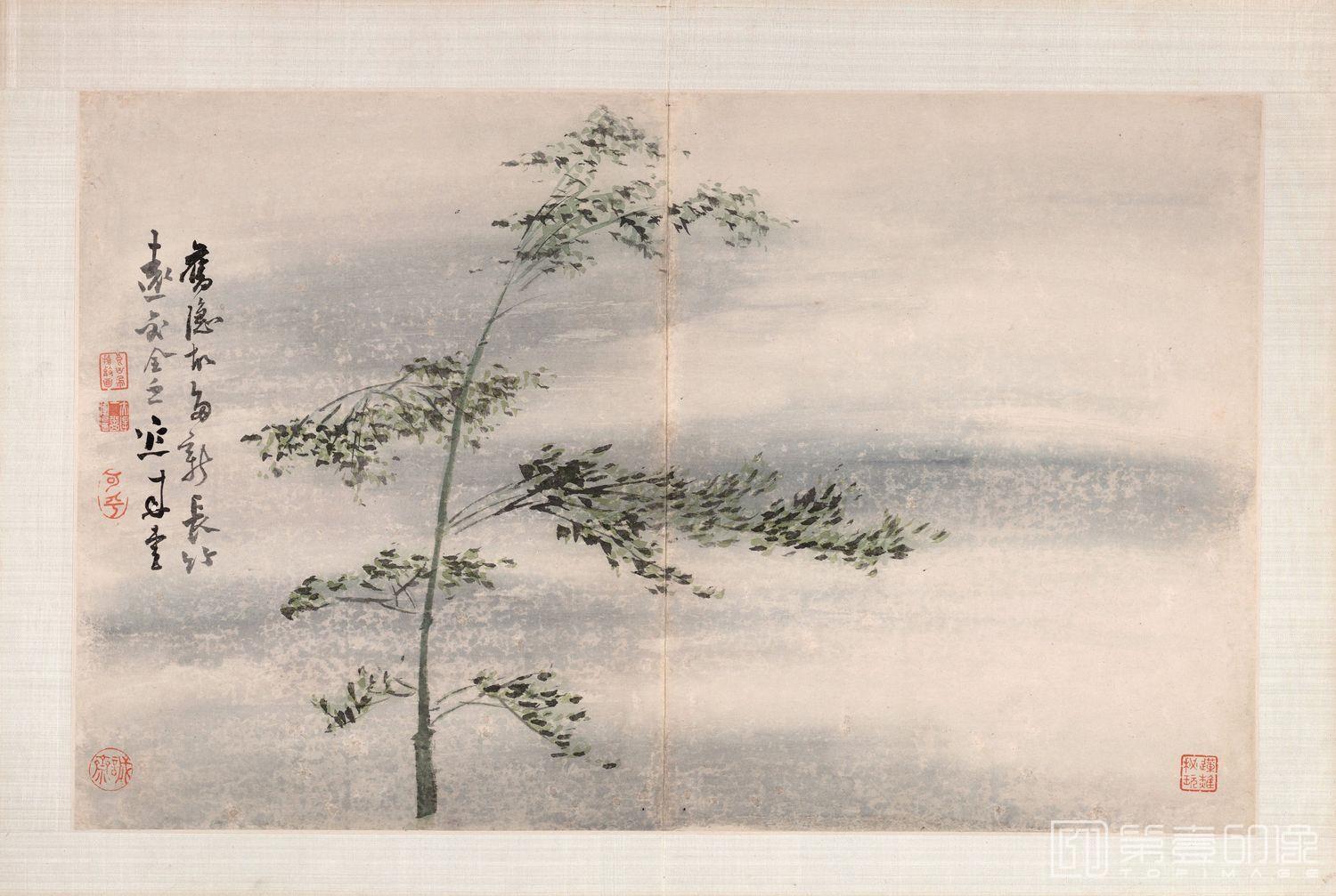 国画-指画-新竹-35.88x57.31