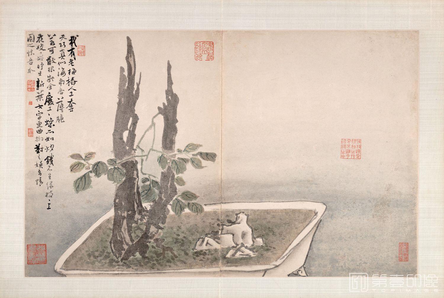 国画-指画-盆栽腊梅-35.88x57.31cm