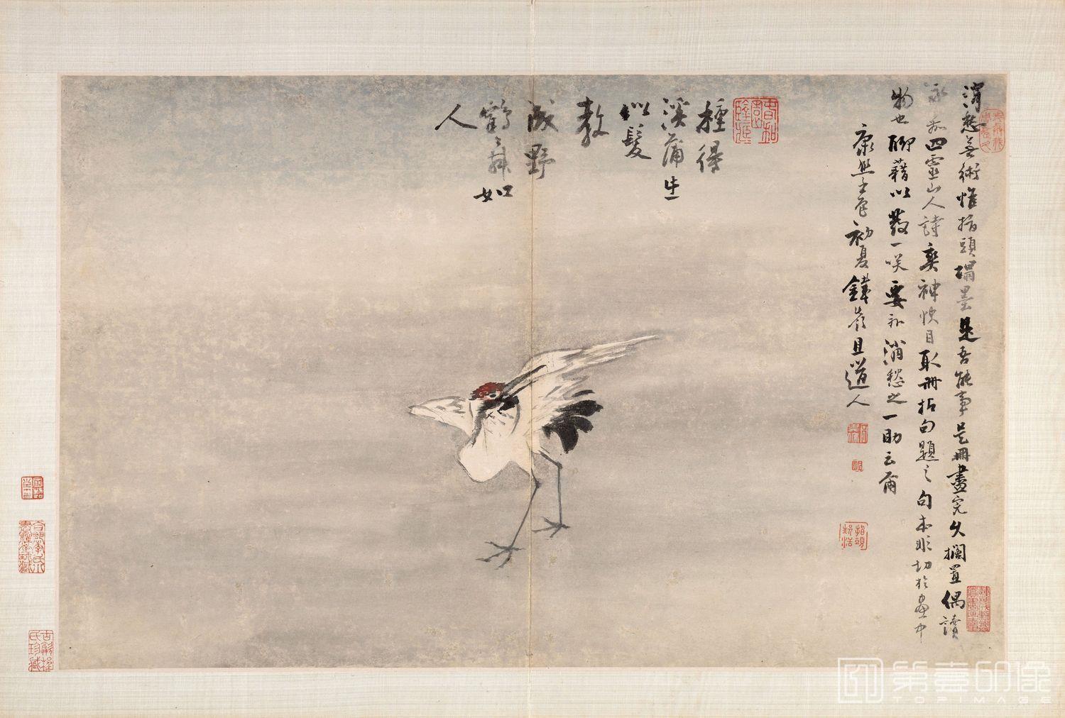 国画-指画-舞鹤-35.88x57.31