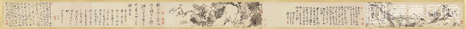 国画-梅花牡丹图卷-20x317