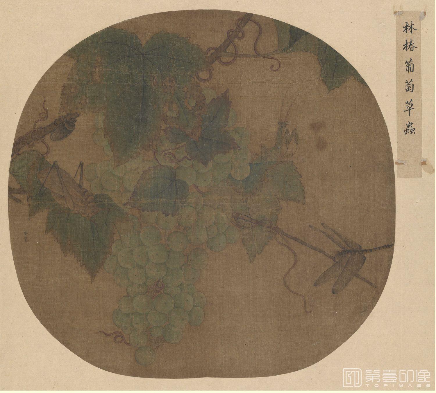 国画-葡萄草虫图