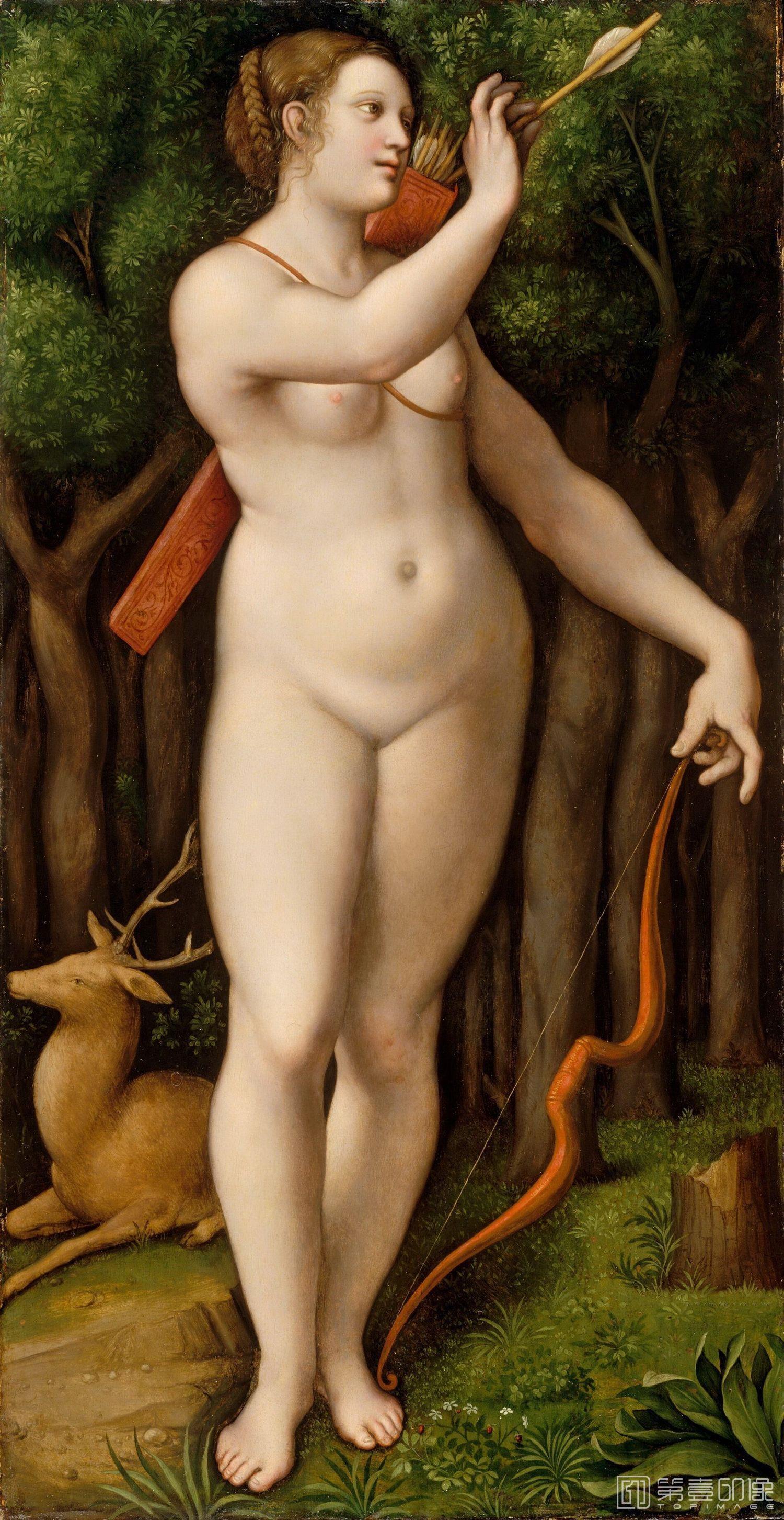 油画-西方-达芬奇-油画-Диана-охотница (позже 1526) (Нью-Йорк, Метрополитен) (2,22 МБ)