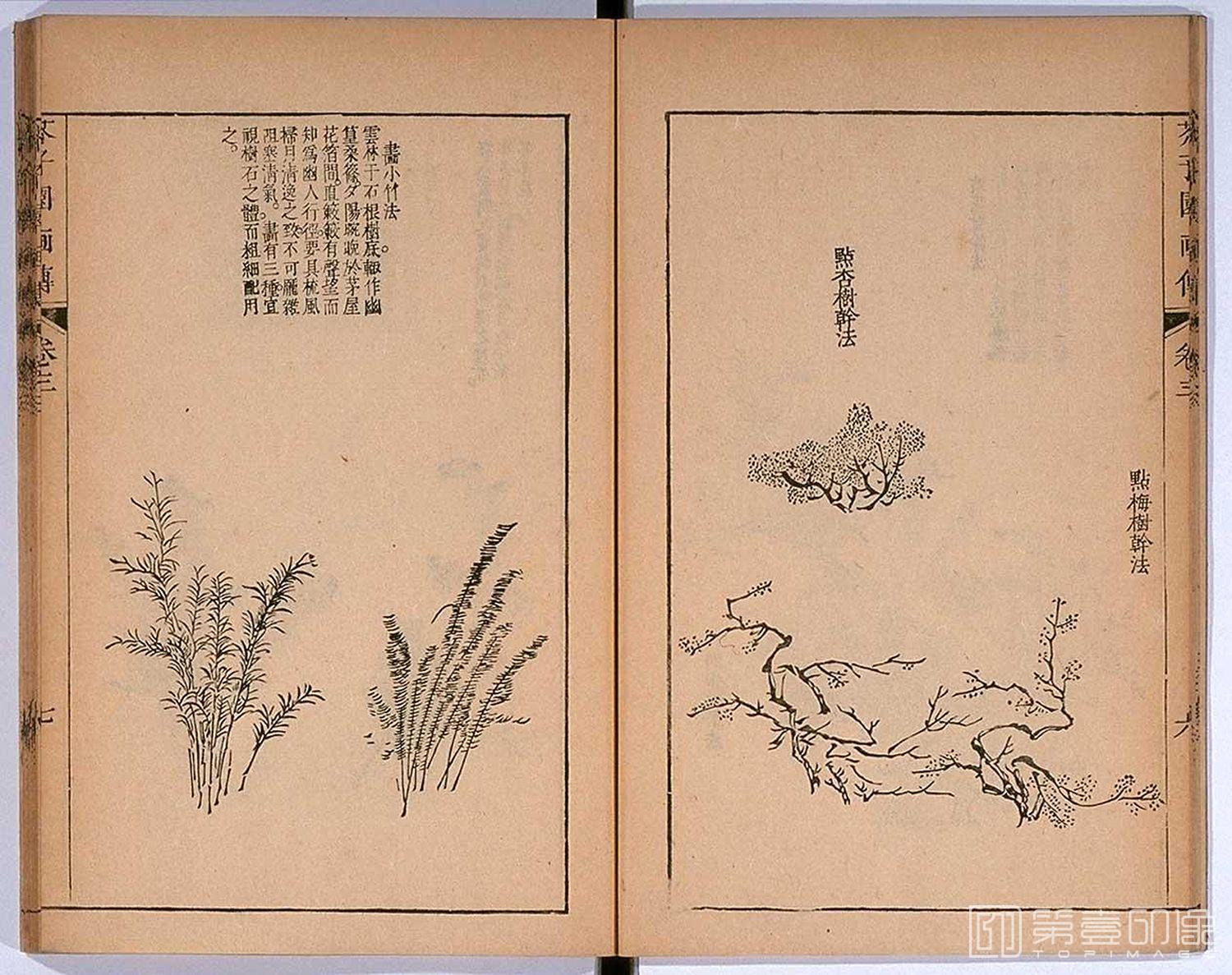 手绘-芥子园画传 龙谷大学藏本-036