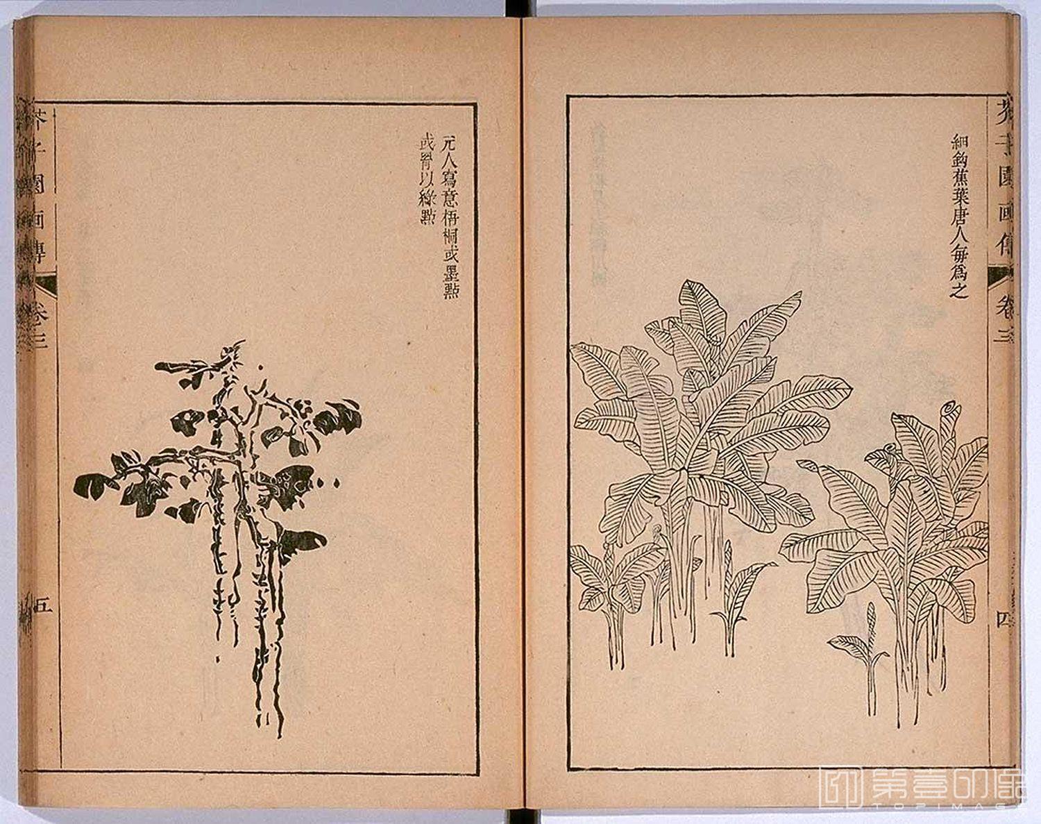 手绘-芥子园画传 龙谷大学藏本-061