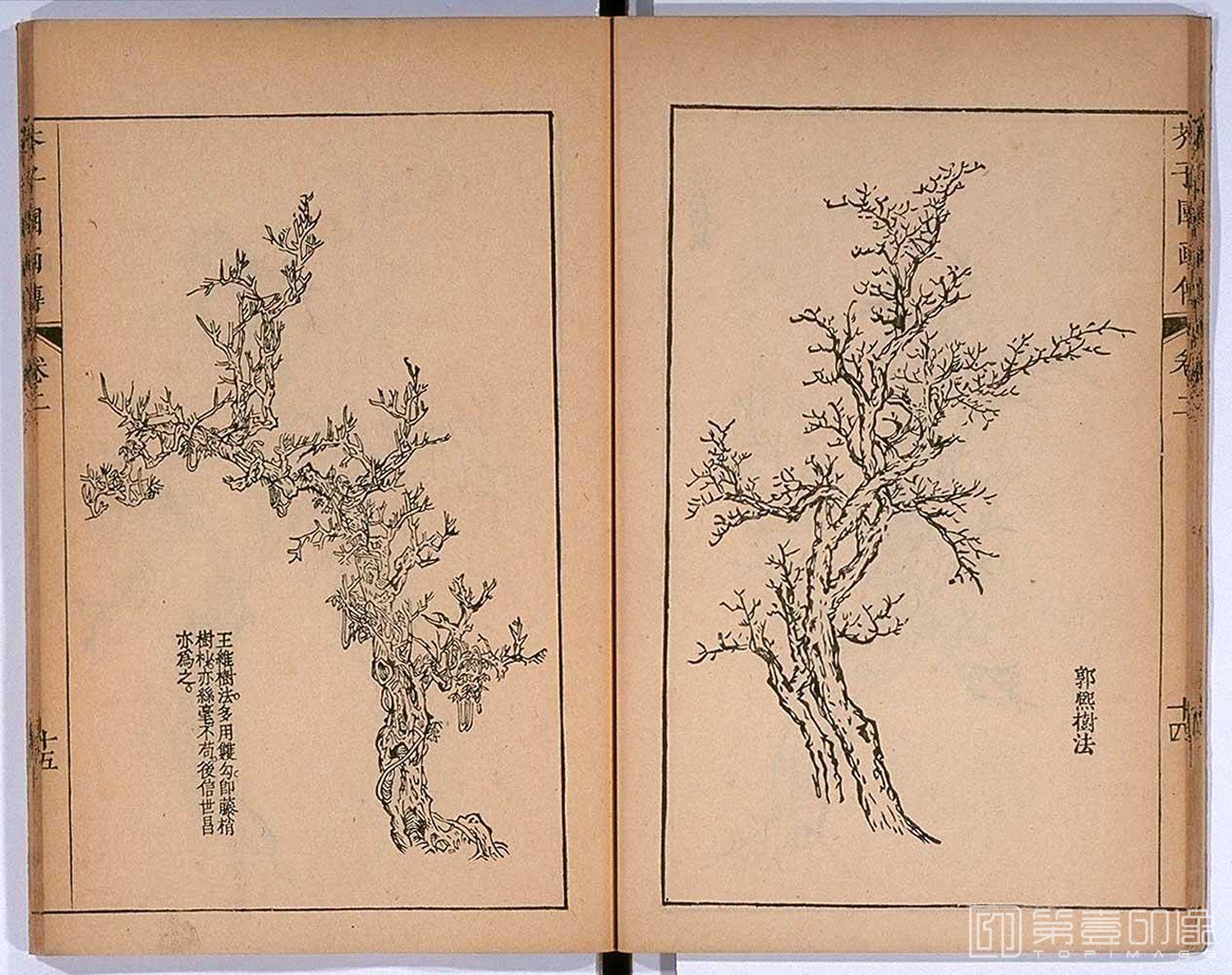 手绘-芥子园画传 龙谷大学藏本-073