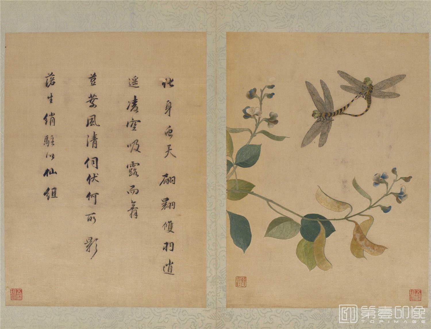 国画-绣宋元名迹册·扁豆蜻蜓图