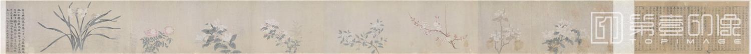 国画-八花图卷全卷29x333 .9