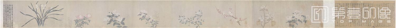 国画-八花图卷 纸本29x333 .9