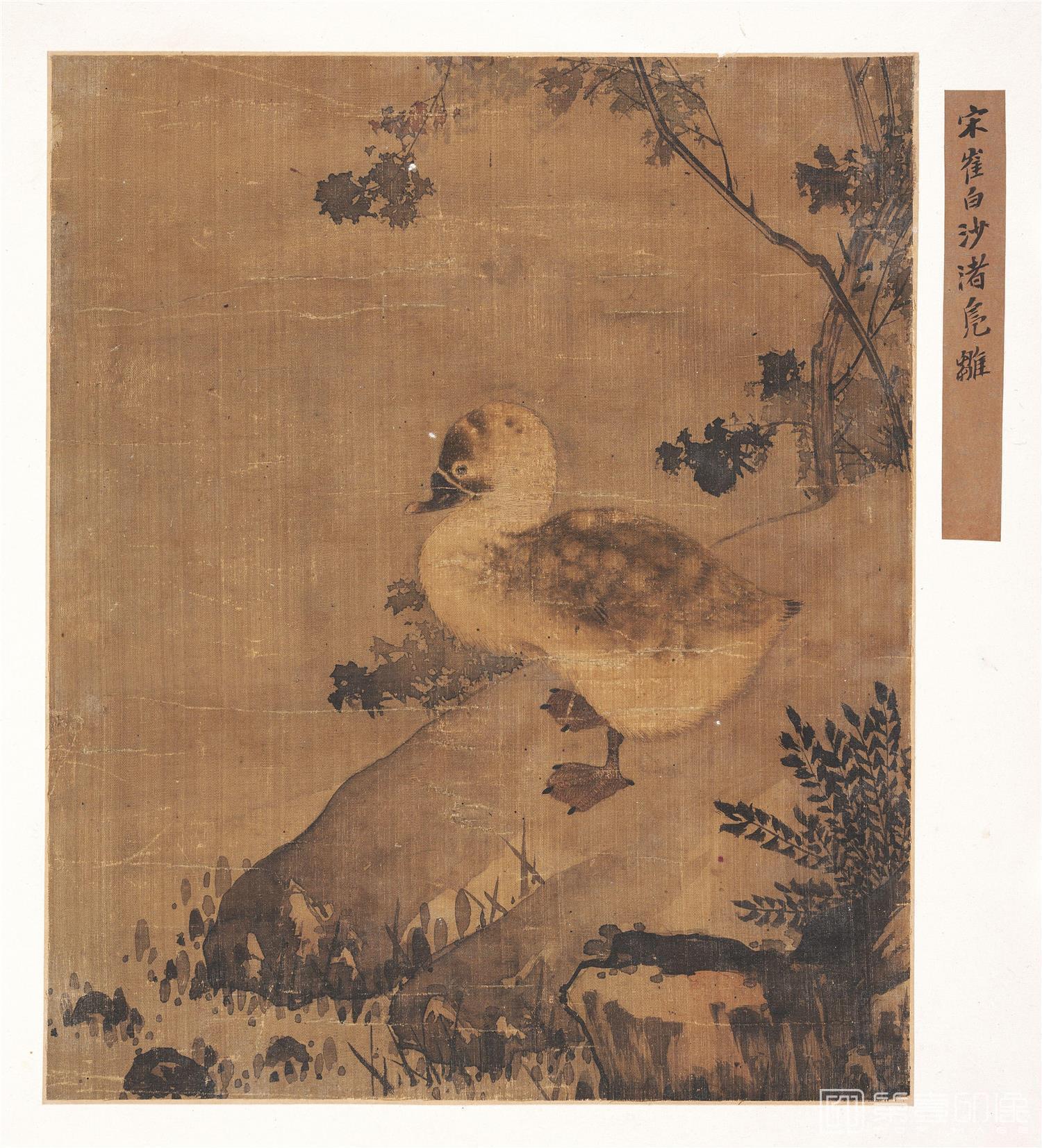 国画-沙渚凫雏图册页绢本31.4 x25.7