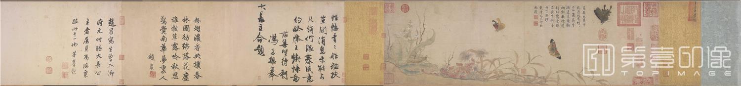 国画-写生蛱蝶图卷全卷纸本27.7x242