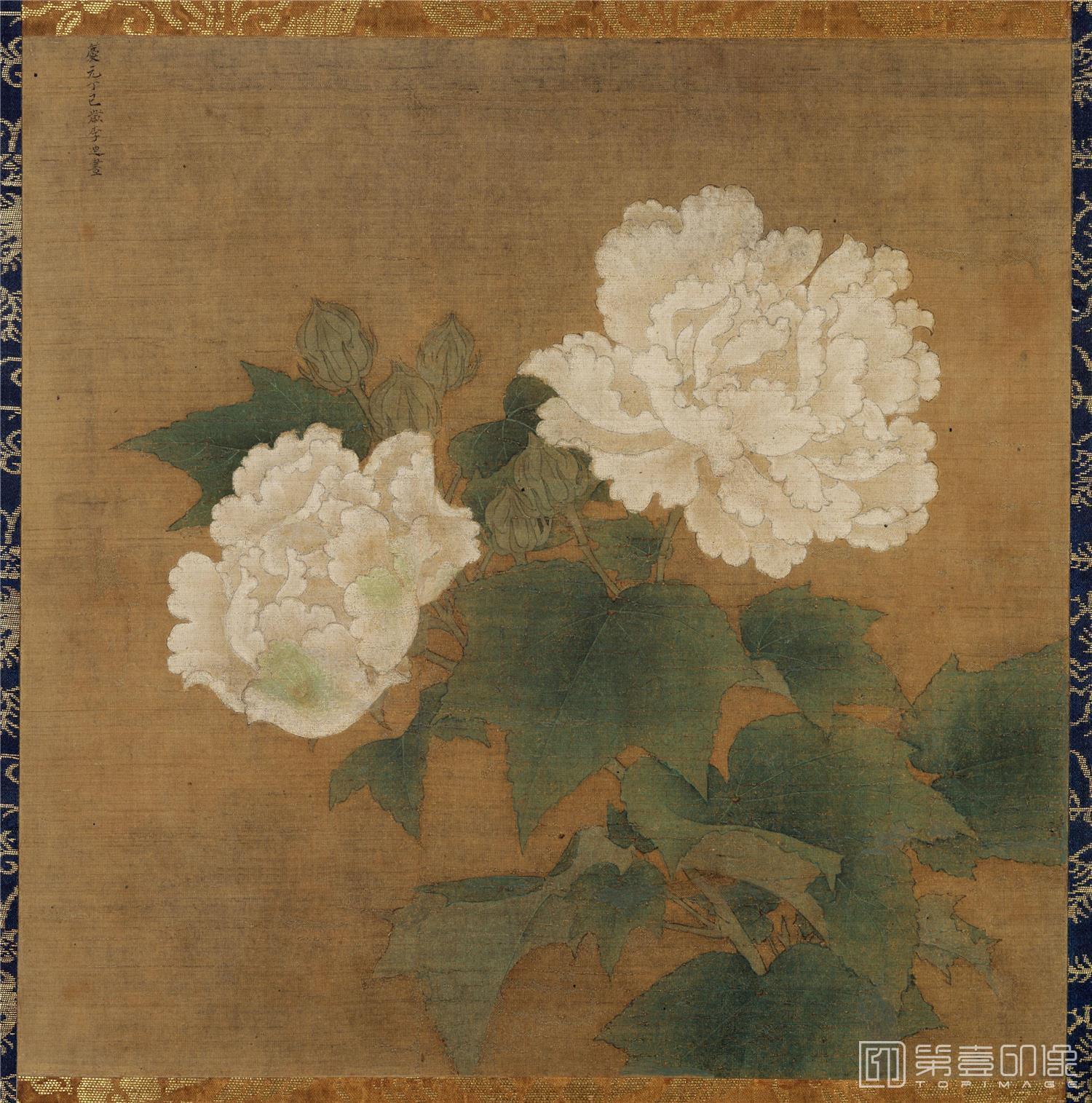 国画-白芙蓉55x55