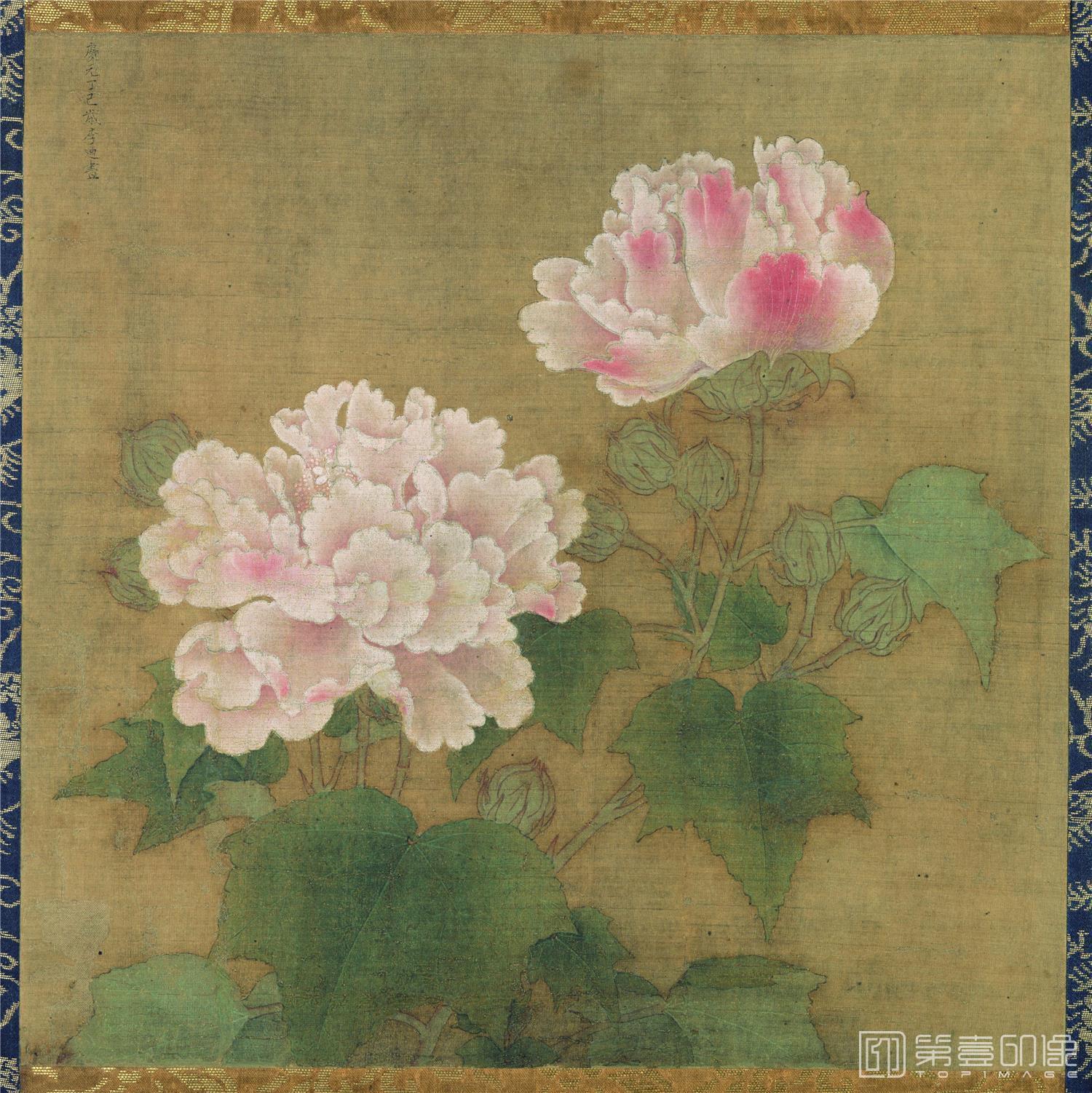 国画-红白芙蓉图绢本设色 25.2x26