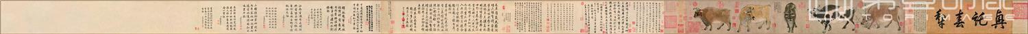 国画-五牛图全卷 纸本20.8x139.8十大传世名画