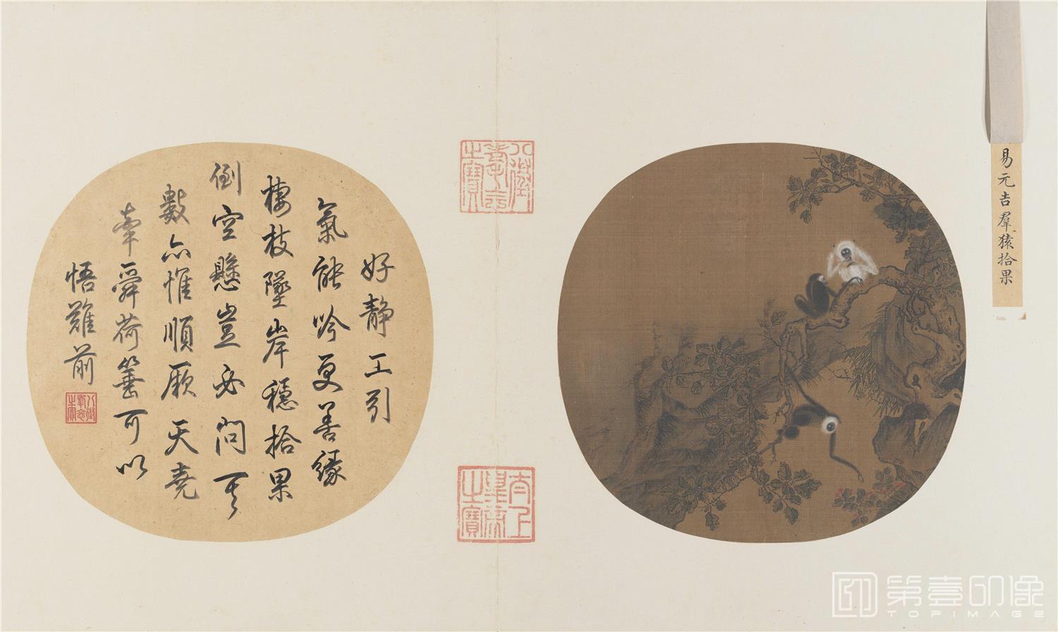 国画-猿猴摘果绢本25x25.6