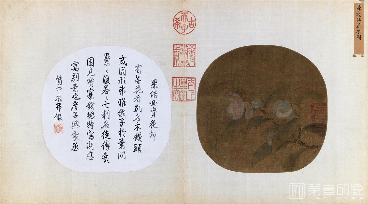 国画-无花果图绢本设色24.8x25