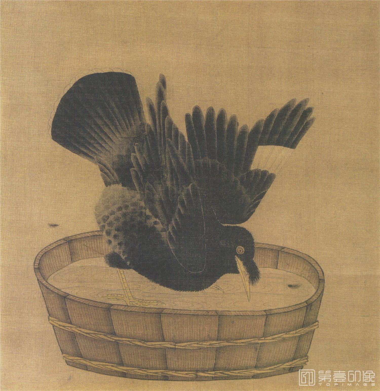 国画-禽浴图绢本24.7x24.1