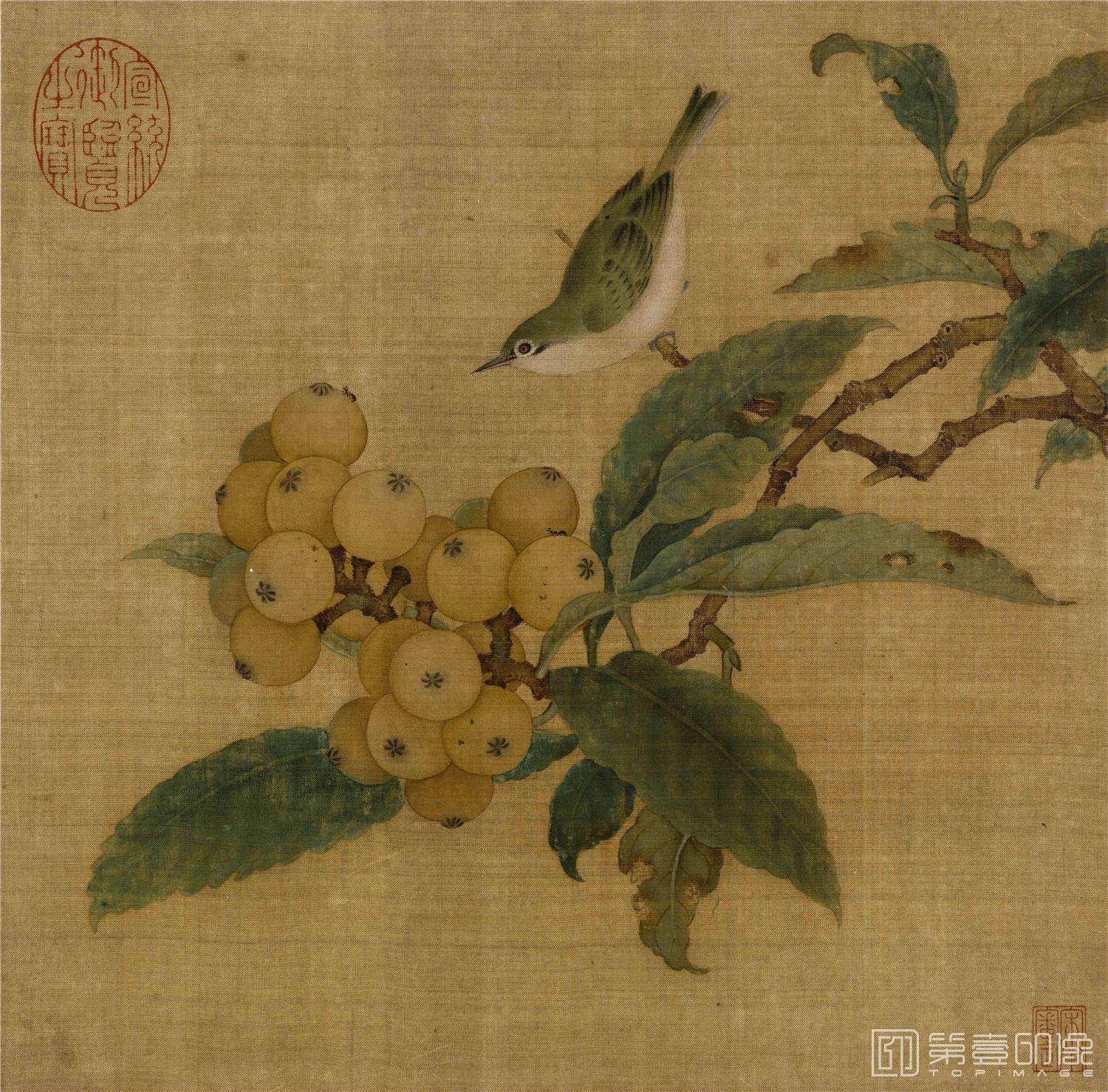国画-枇杷山鸟图绢本26.9x27.2