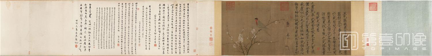 国画-五色鹦鹉图 (全卷)绢本53.3x125 (波士顿)