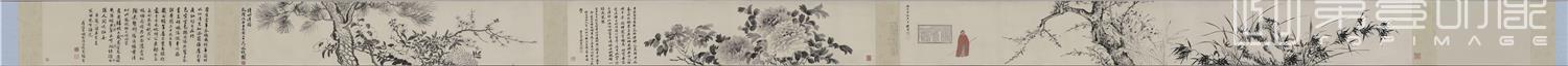 国画-梅花水仙图 (全卷)纸本33.7x391.9