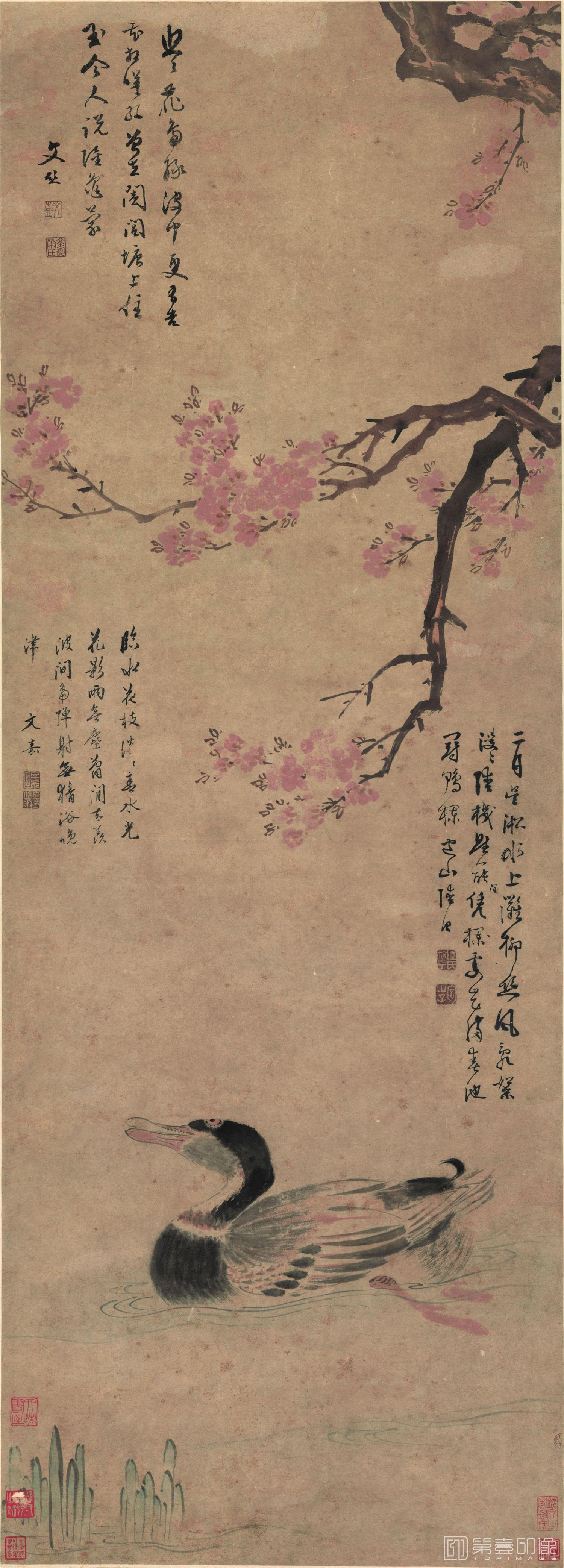 国画-花鸟立轴 纸本 43.1x119.7