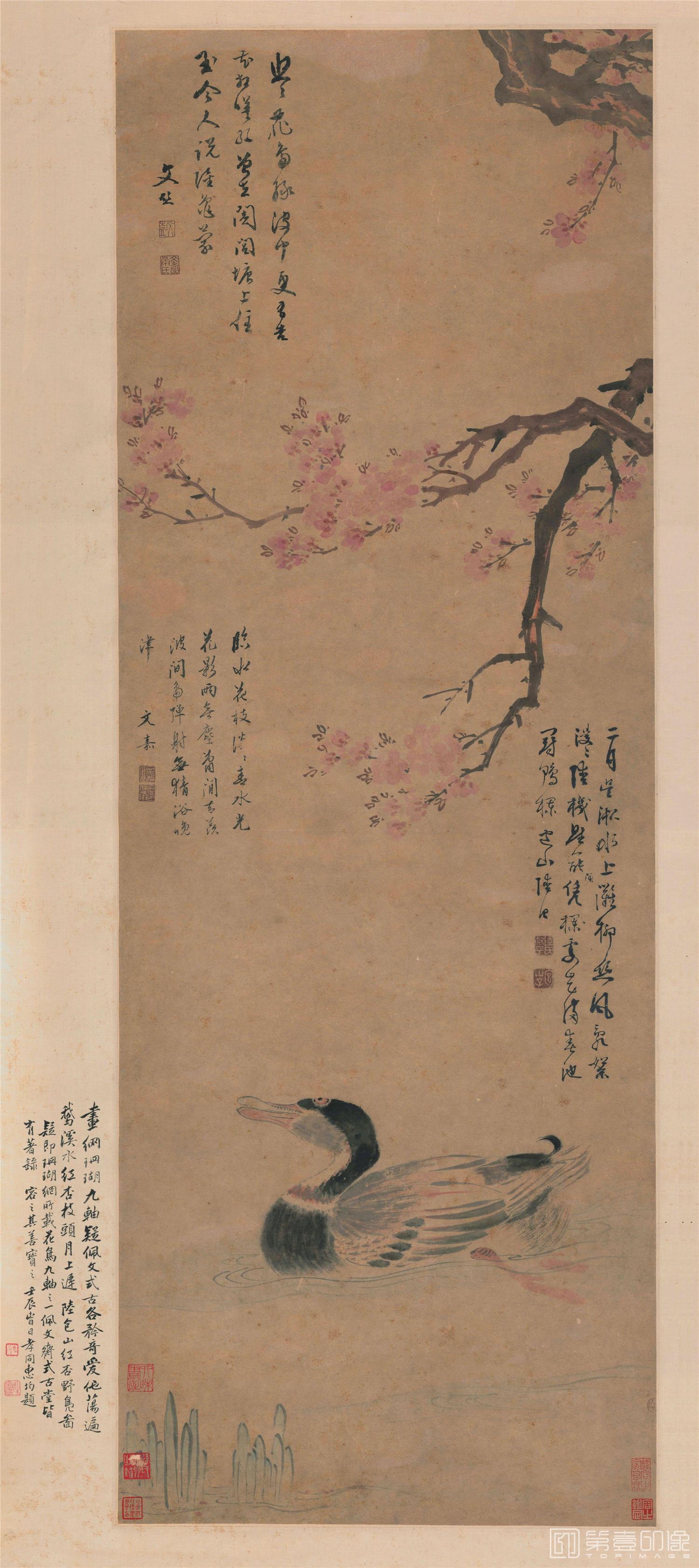 国画-红杏野凫图轴 (纸本)125x55