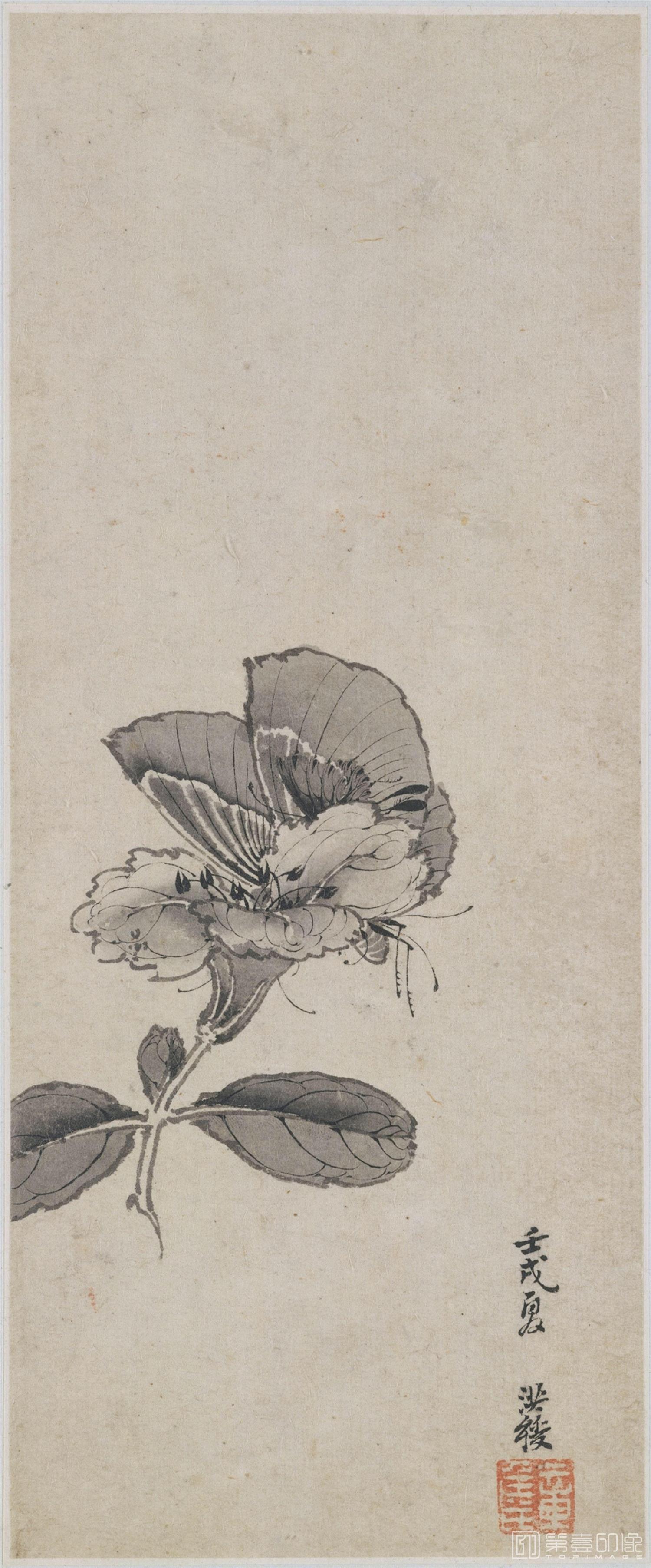 国画-山水物件花卉册13开-002