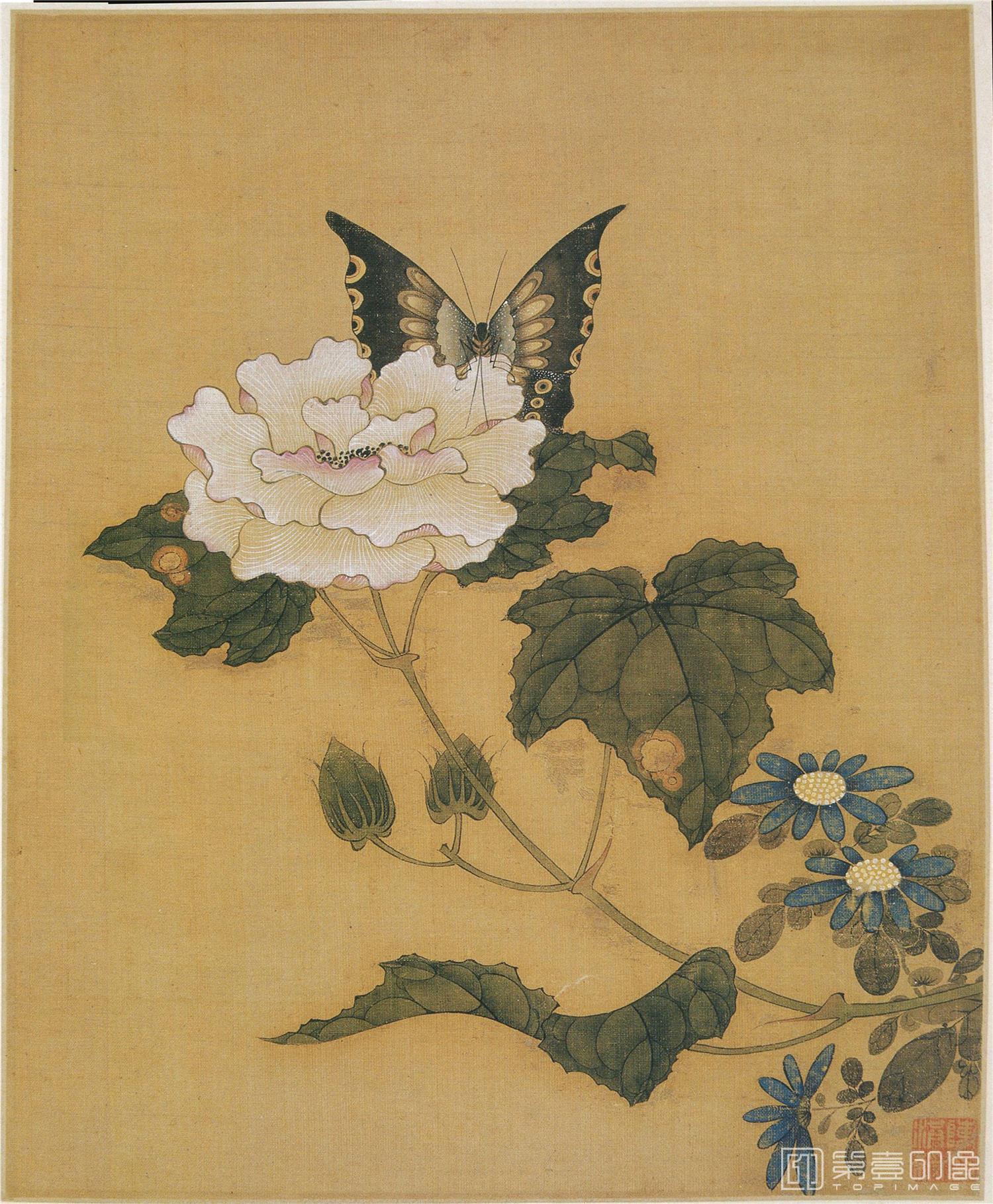 国画-花鸟精品册-003