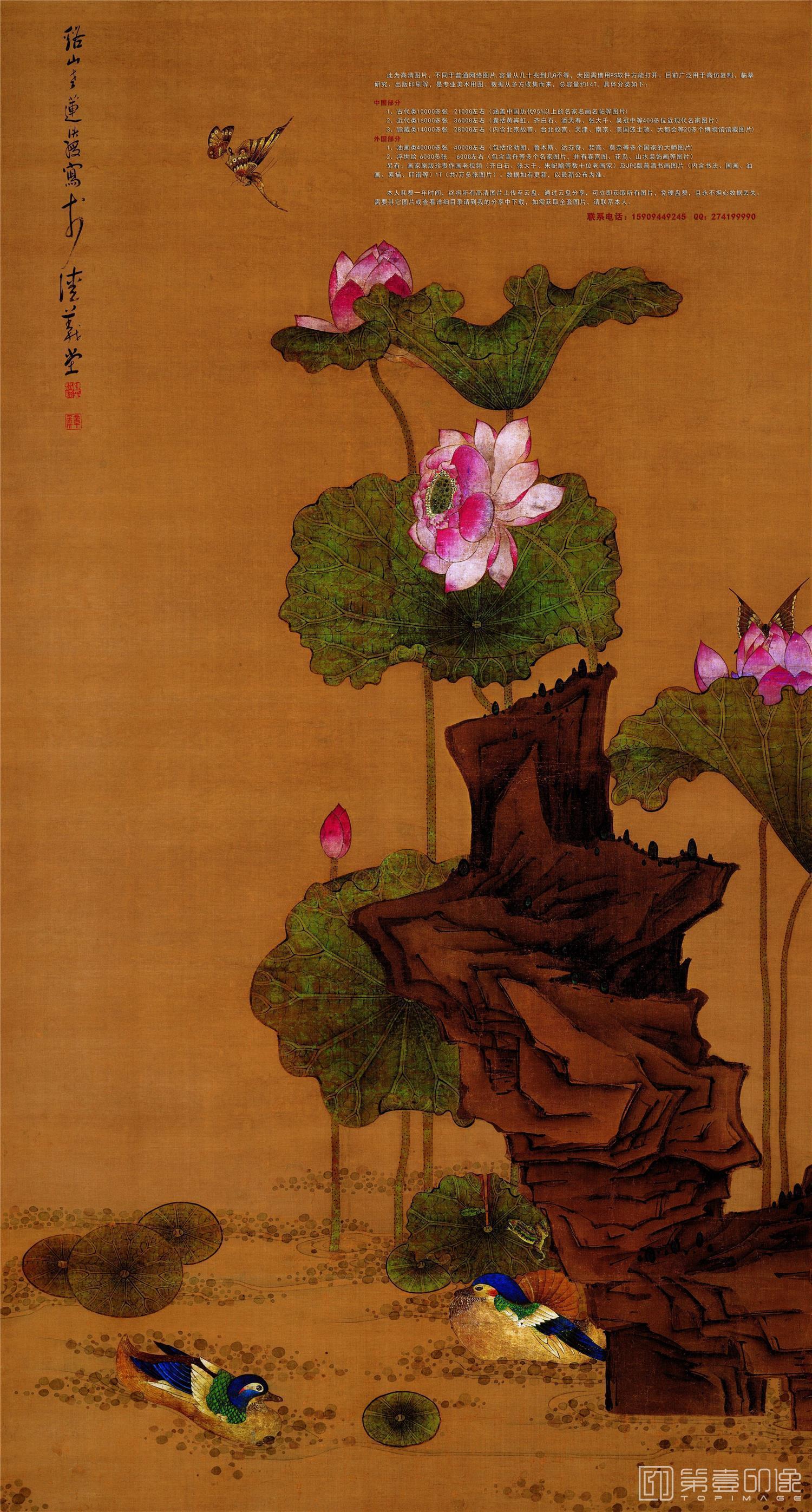 国画-荷花鸳鸯图 绢本183X98