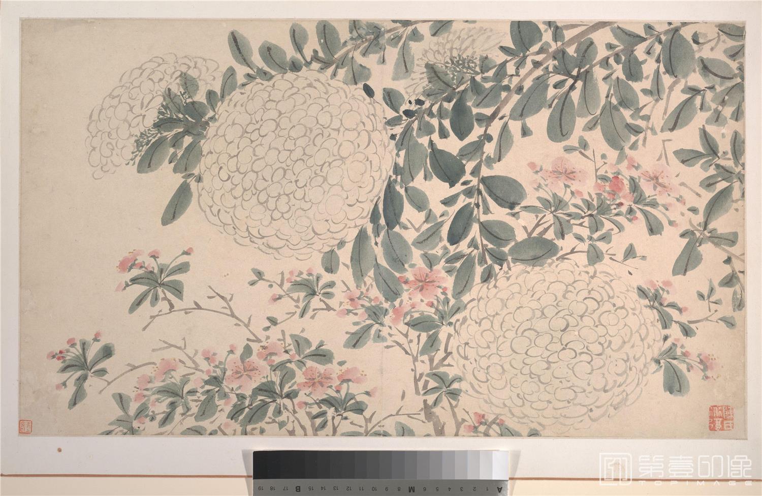国画-花卉图14张-002