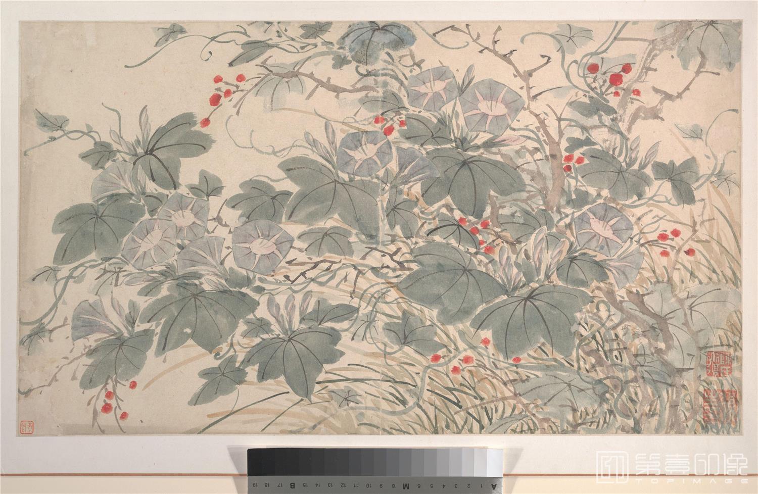 国画-花卉图14张-005