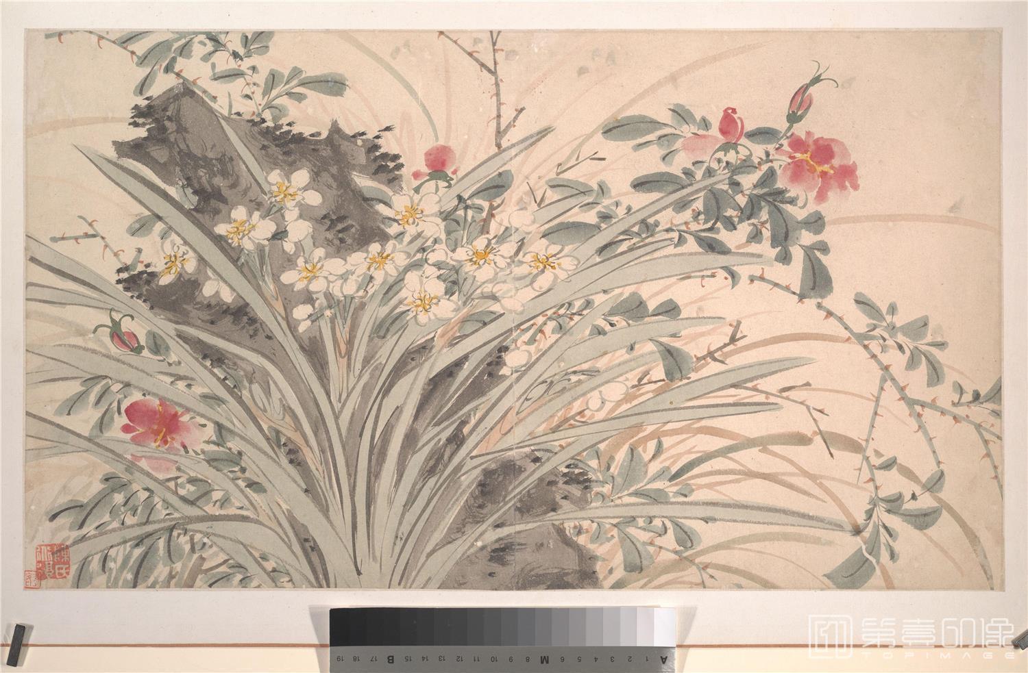 国画-花卉图14张-006