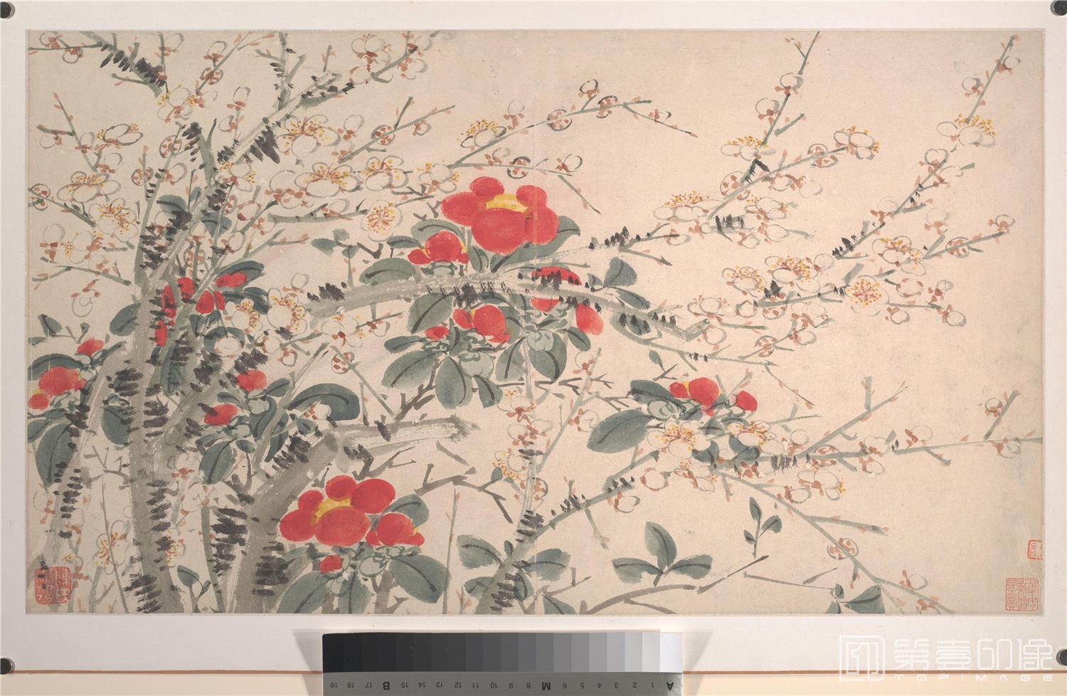 国画-花卉图14张-007