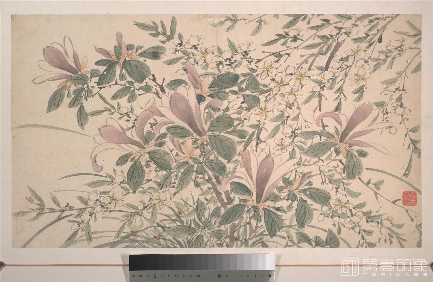 国画-花卉图14张-008