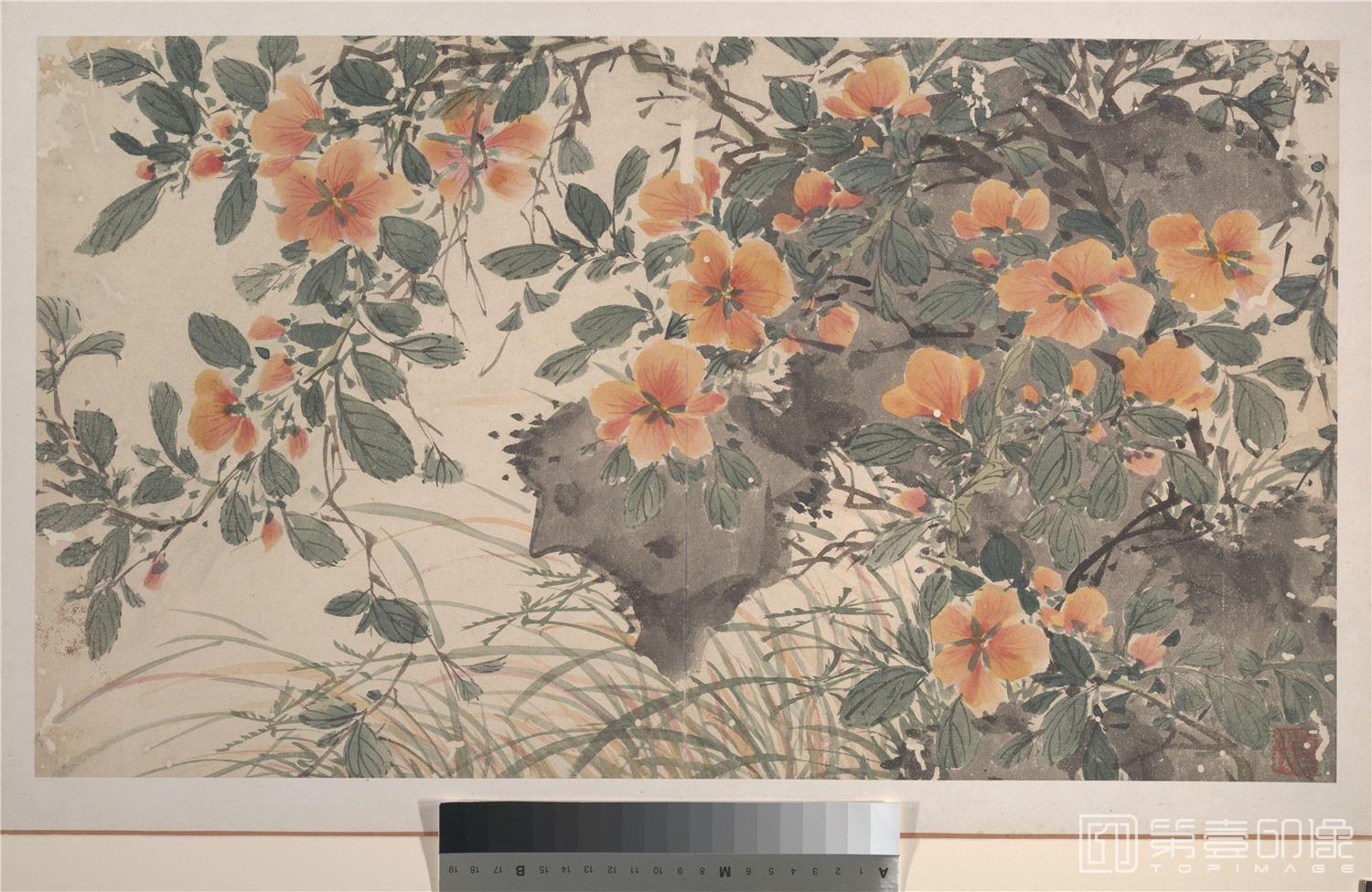 国画-花卉图14张-009