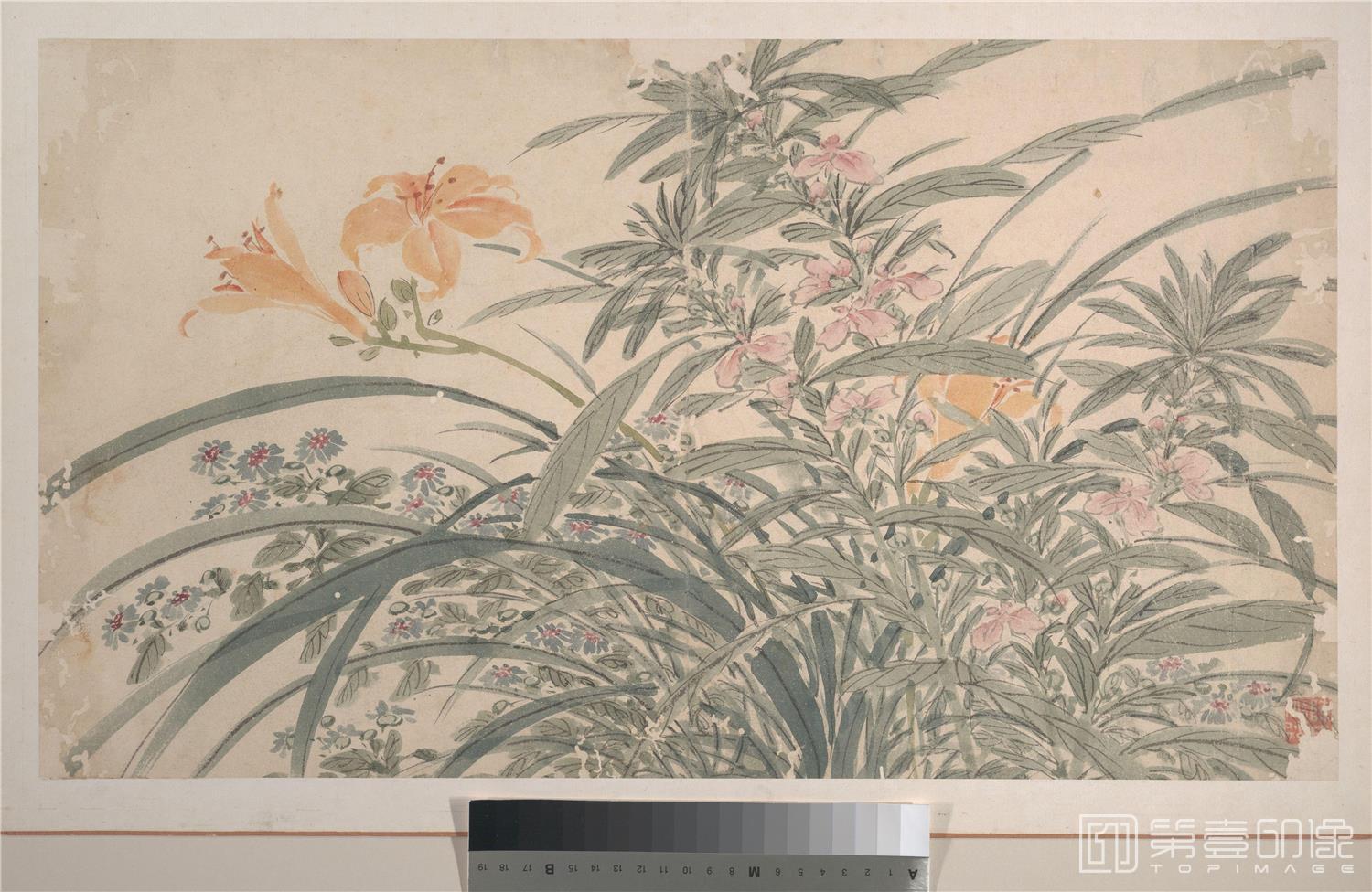 国画-花卉图14张-010