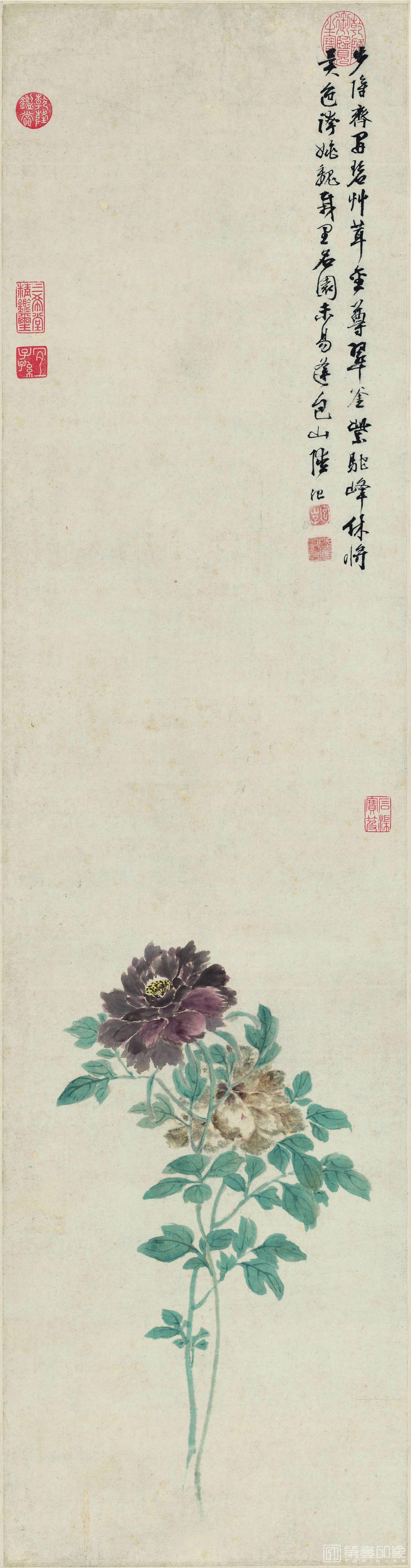 国画-牡丹图轴 纸本120x31.7