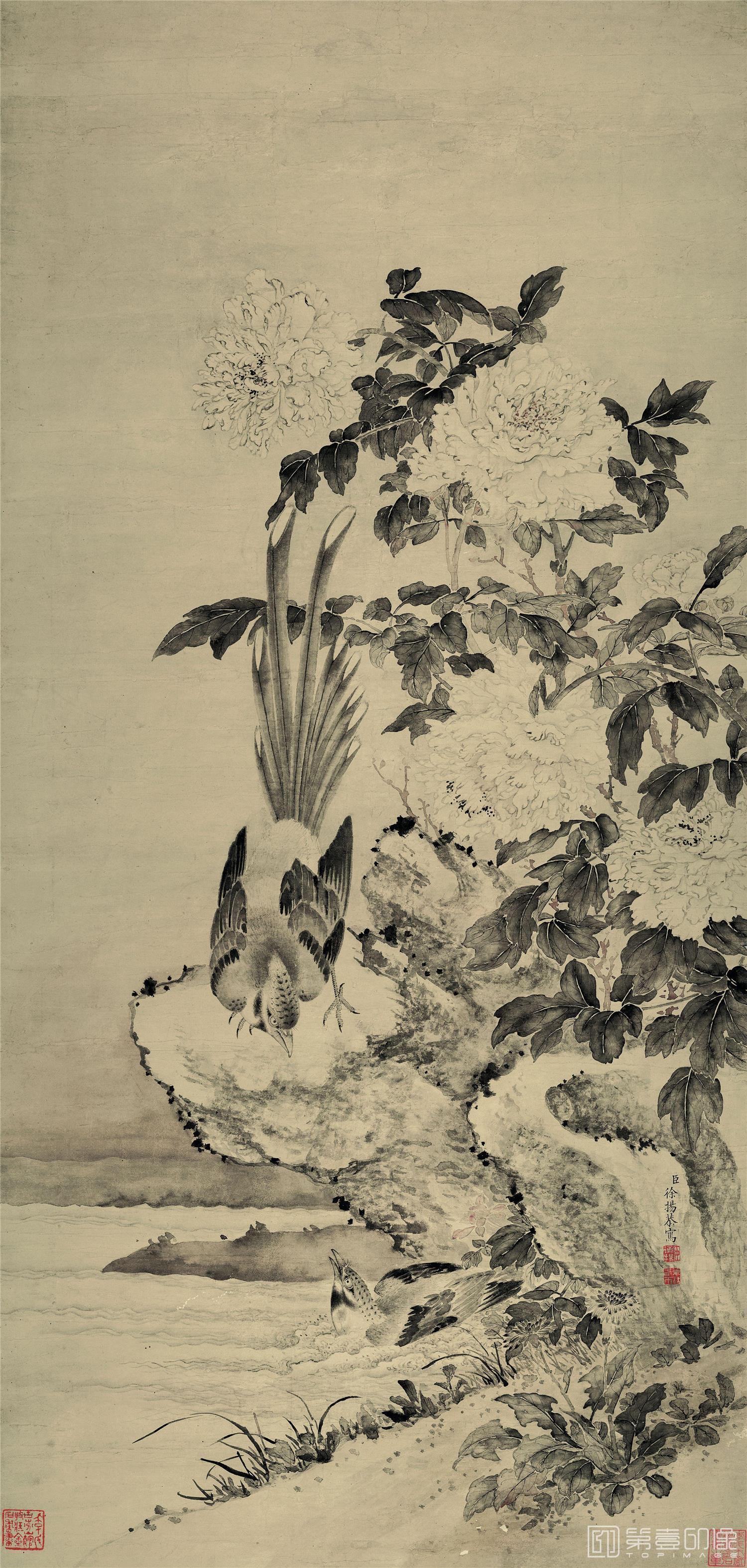 国画-清 徐杨 牡丹山鹧 纸本55X117