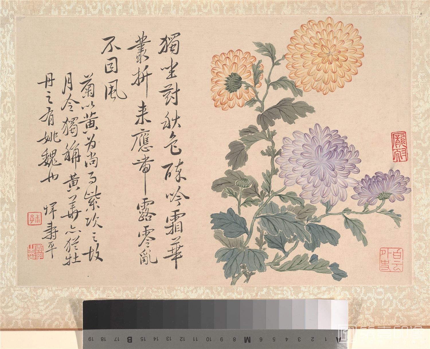 国画-牡丹册 30.2x20