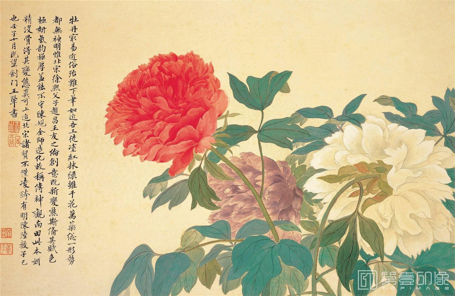 国画-牡丹 绢布 50X32.7
