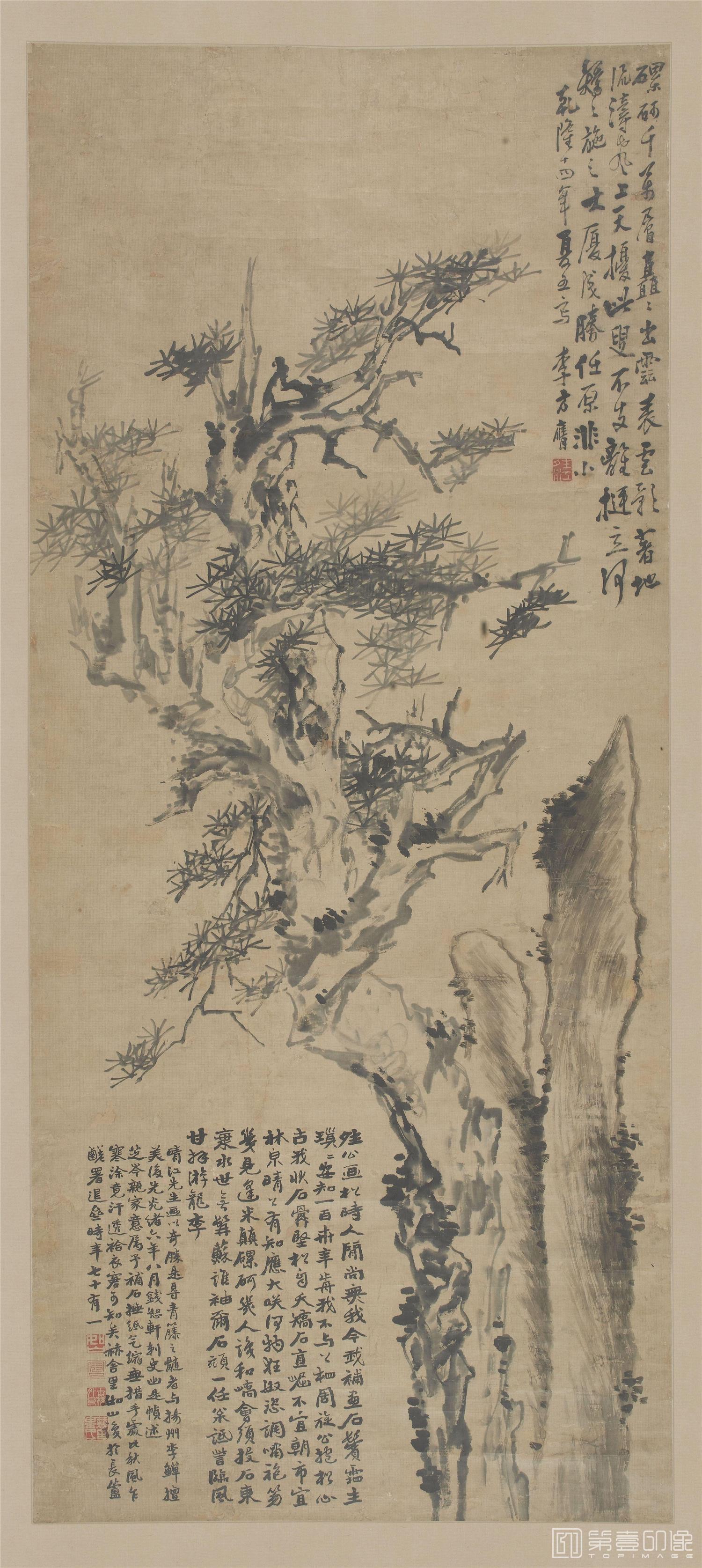 国画-松树图挂轴100ｘ45