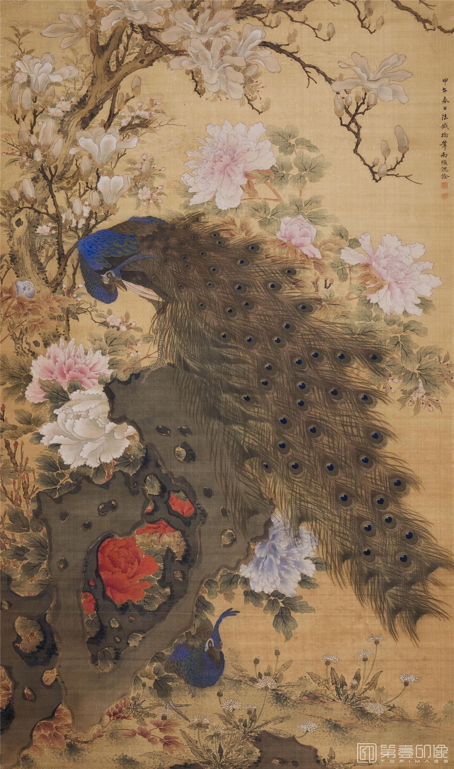国画-孔雀玉兰牡丹图绢本71x42