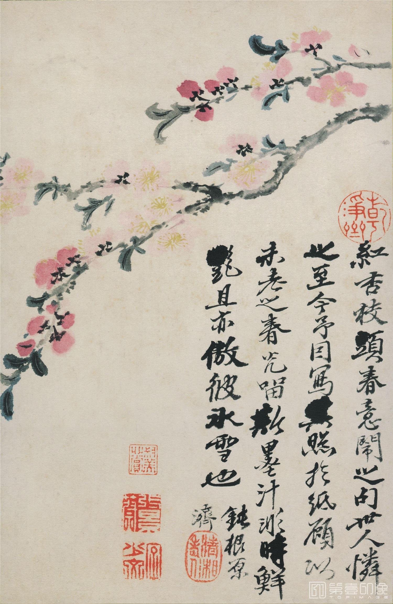 国画-花鸟图册12开 纸本-010