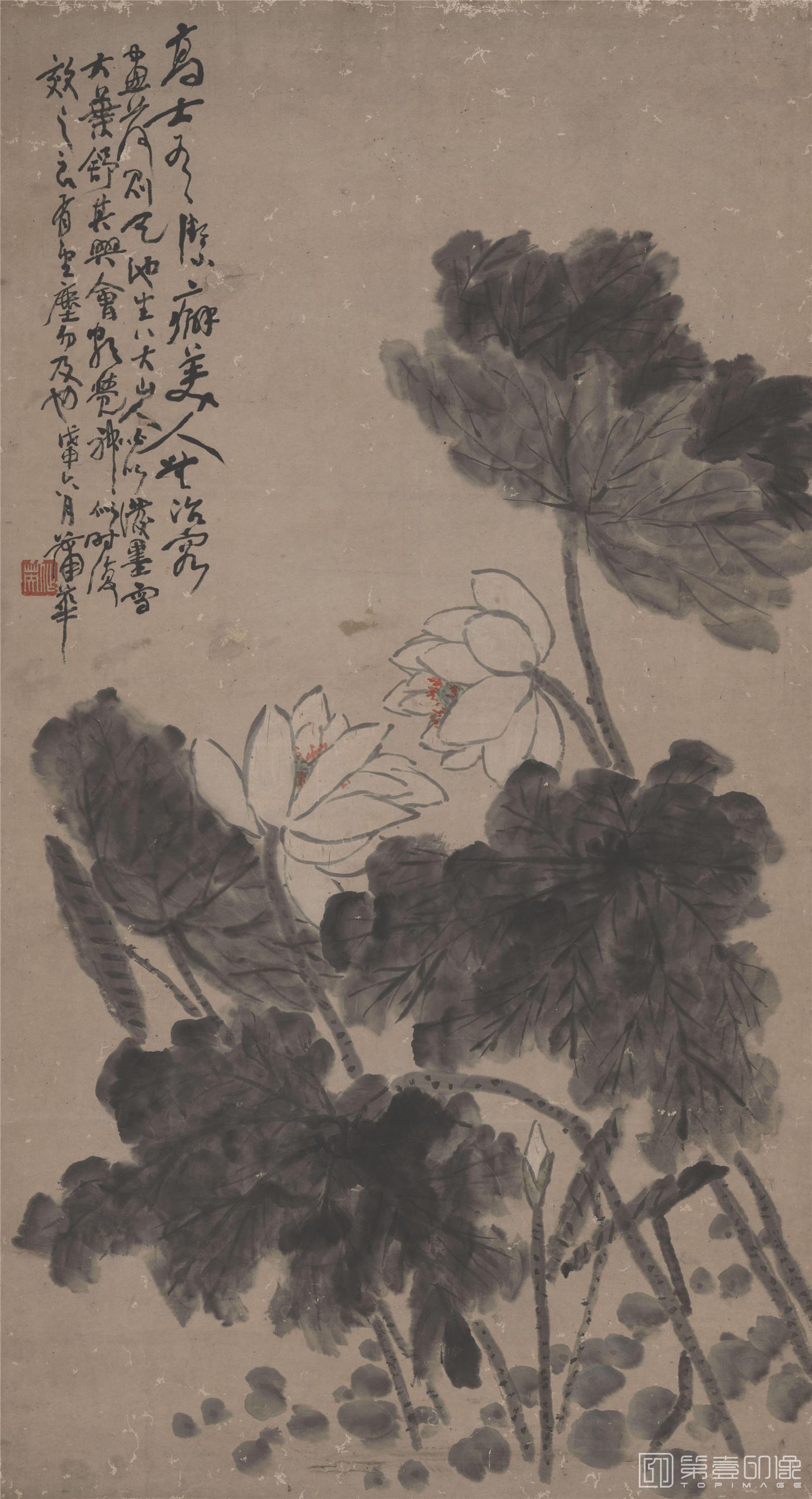 国画-荷花图轴146X80