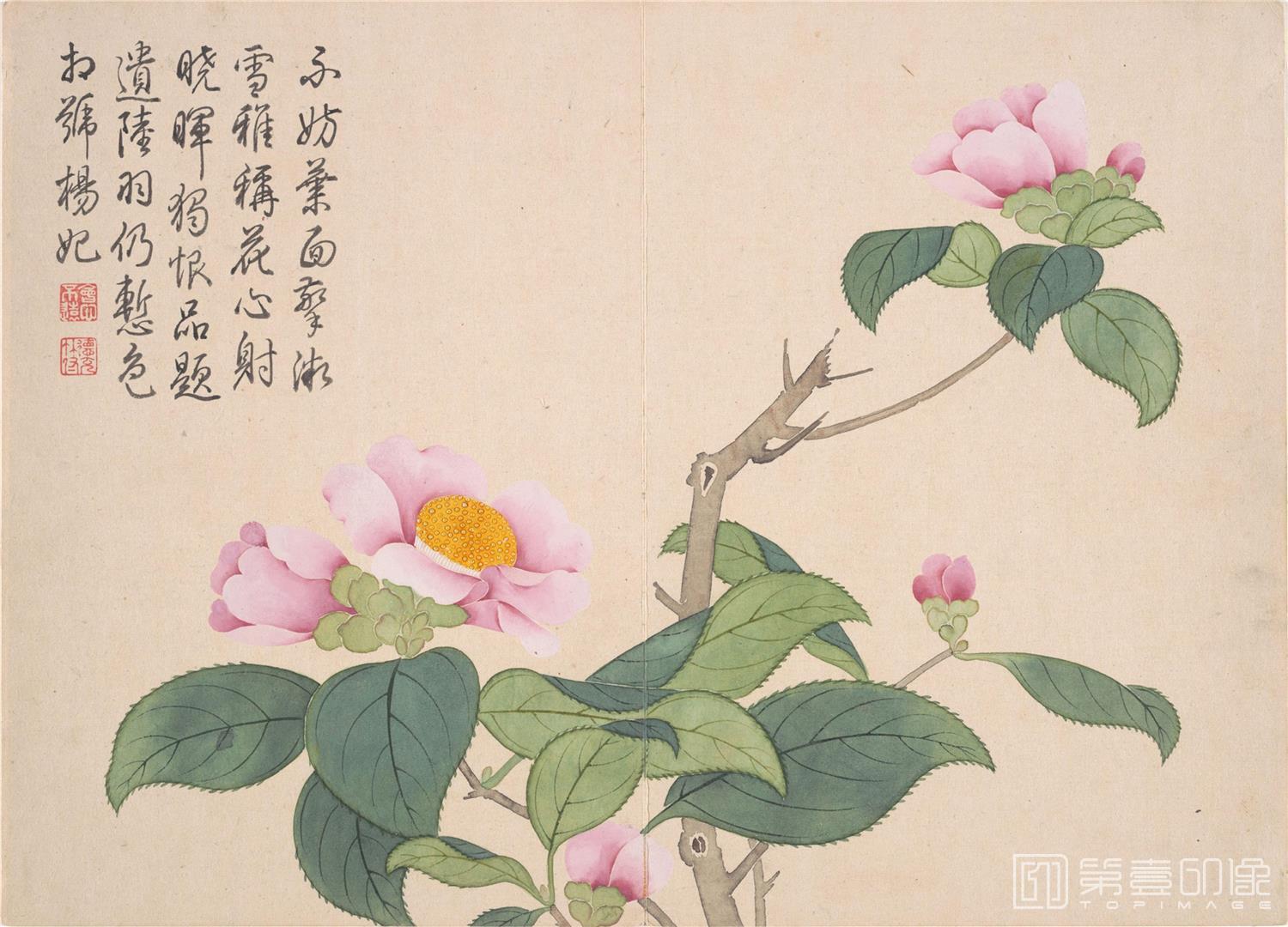 国画-山水花鸟册 12开 -006